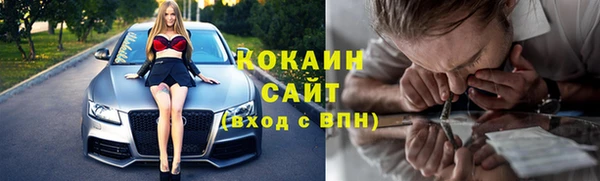 сатива Михайловка