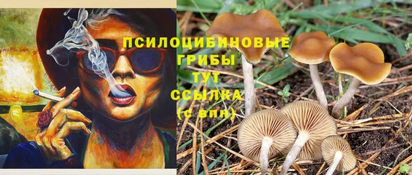 сатива Михайловка