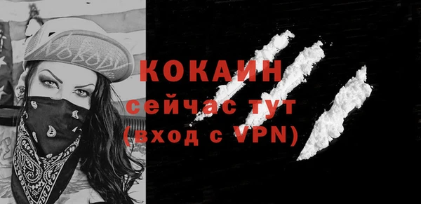 сатива Михайловка
