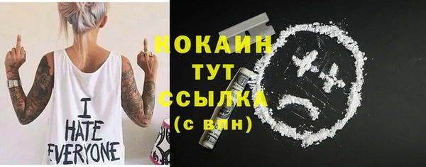 сатива Михайловка