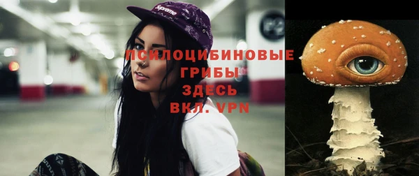 сатива Михайловка