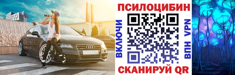 Псилоцибиновые грибы Cubensis  цена   Озёры 